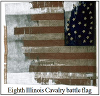 8th Illinois flag